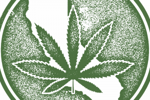 California Marijuana Legal Guide